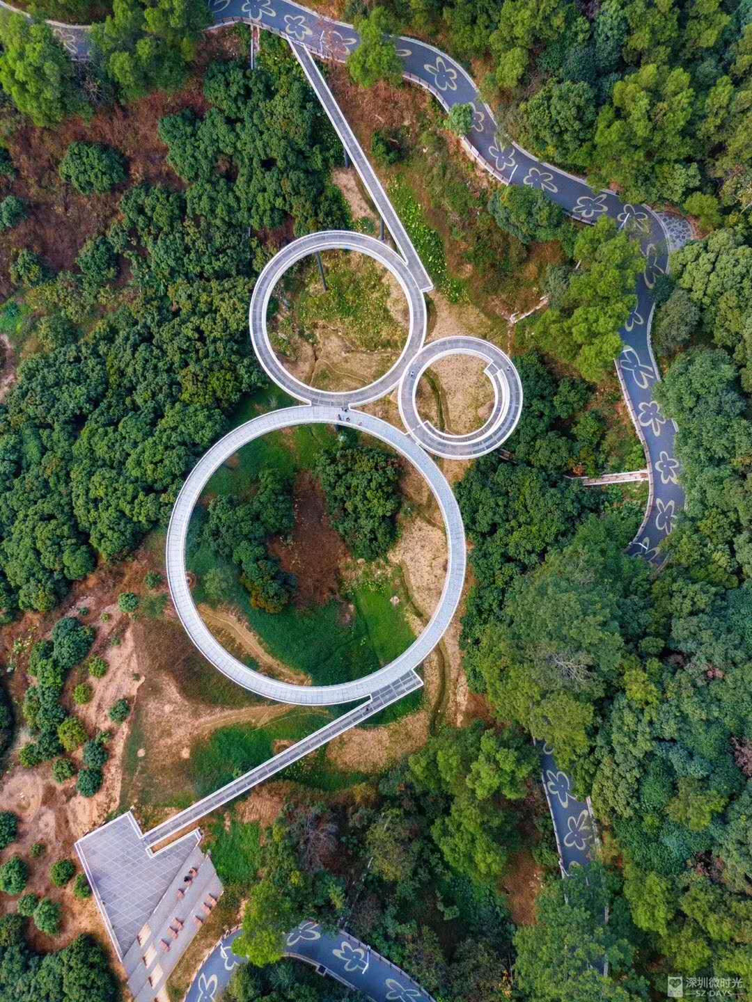 光明绿道3.jpg